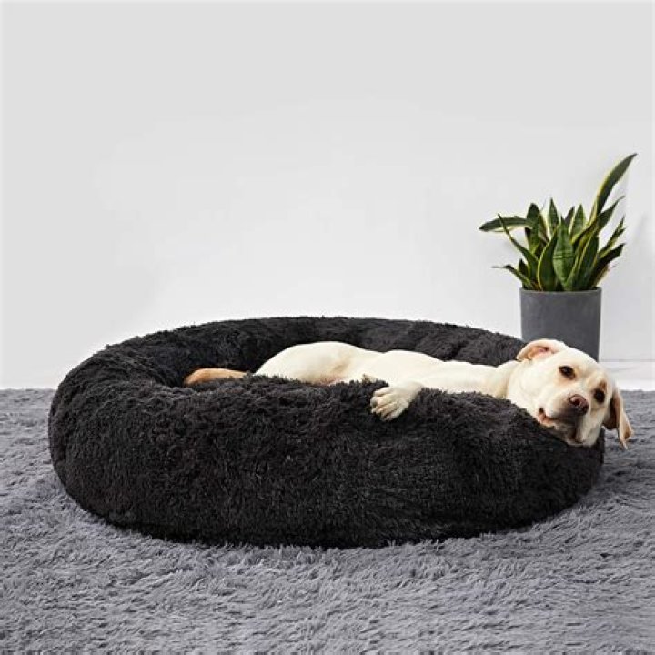 ANWA Dog Bed