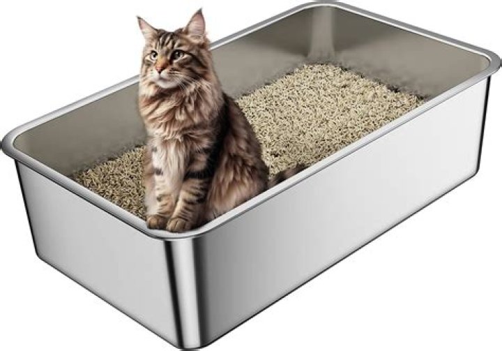 cat litter box on a wooden floor