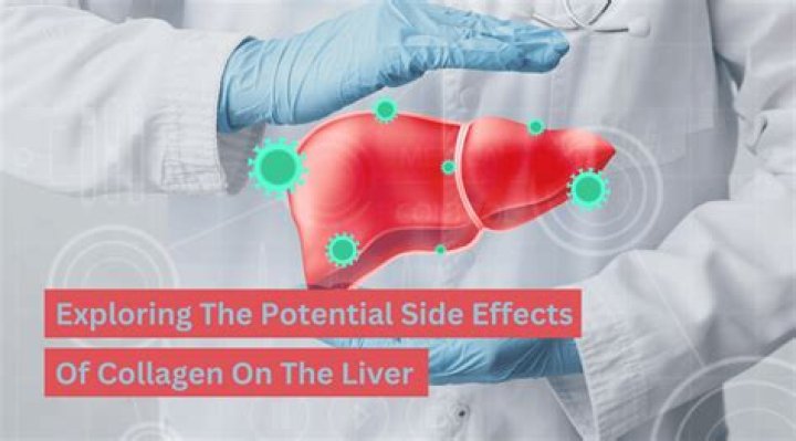 Collagen Side Effects On Liver
