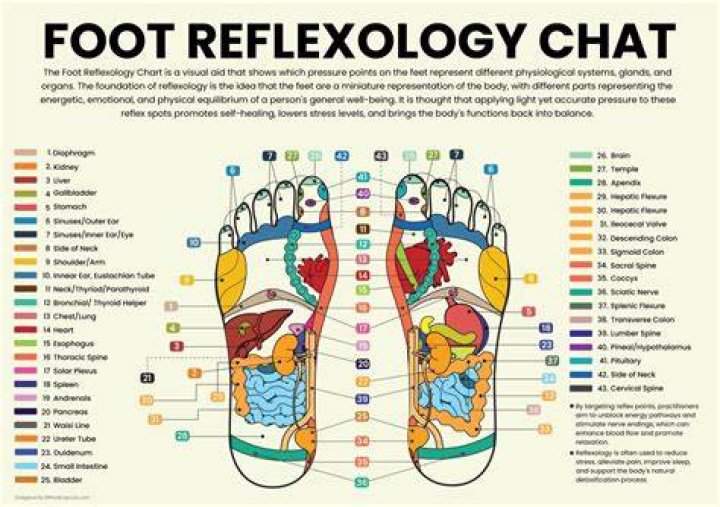foot reflexology chart