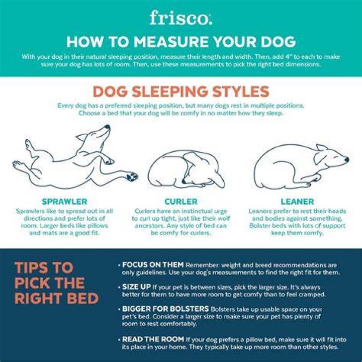 Frisco Eyelash Cat & Dog Bolster Bed