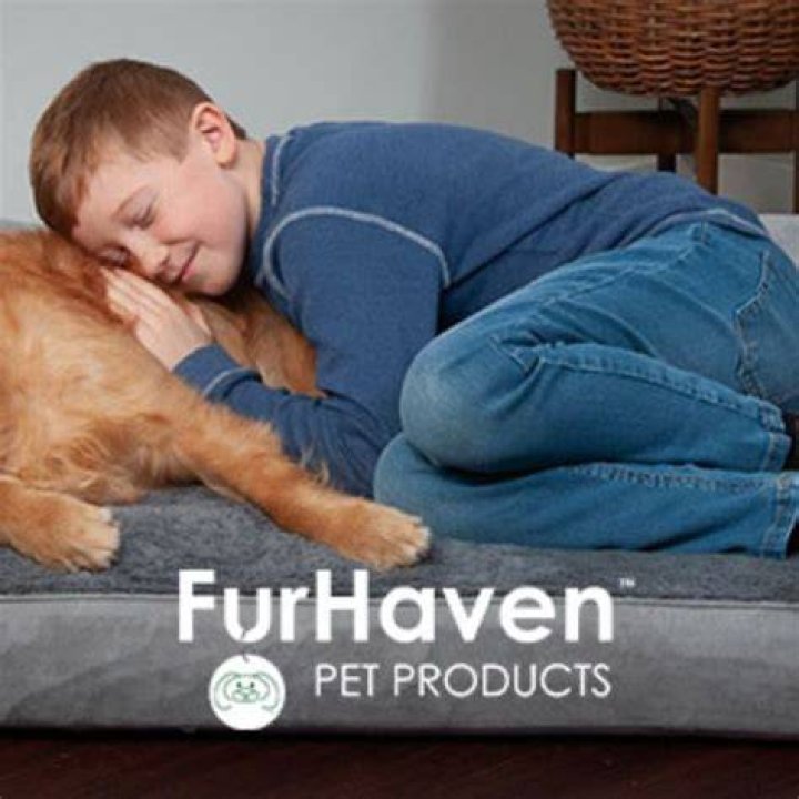 FurHaven Cozy Pet Beds with Cave Tent