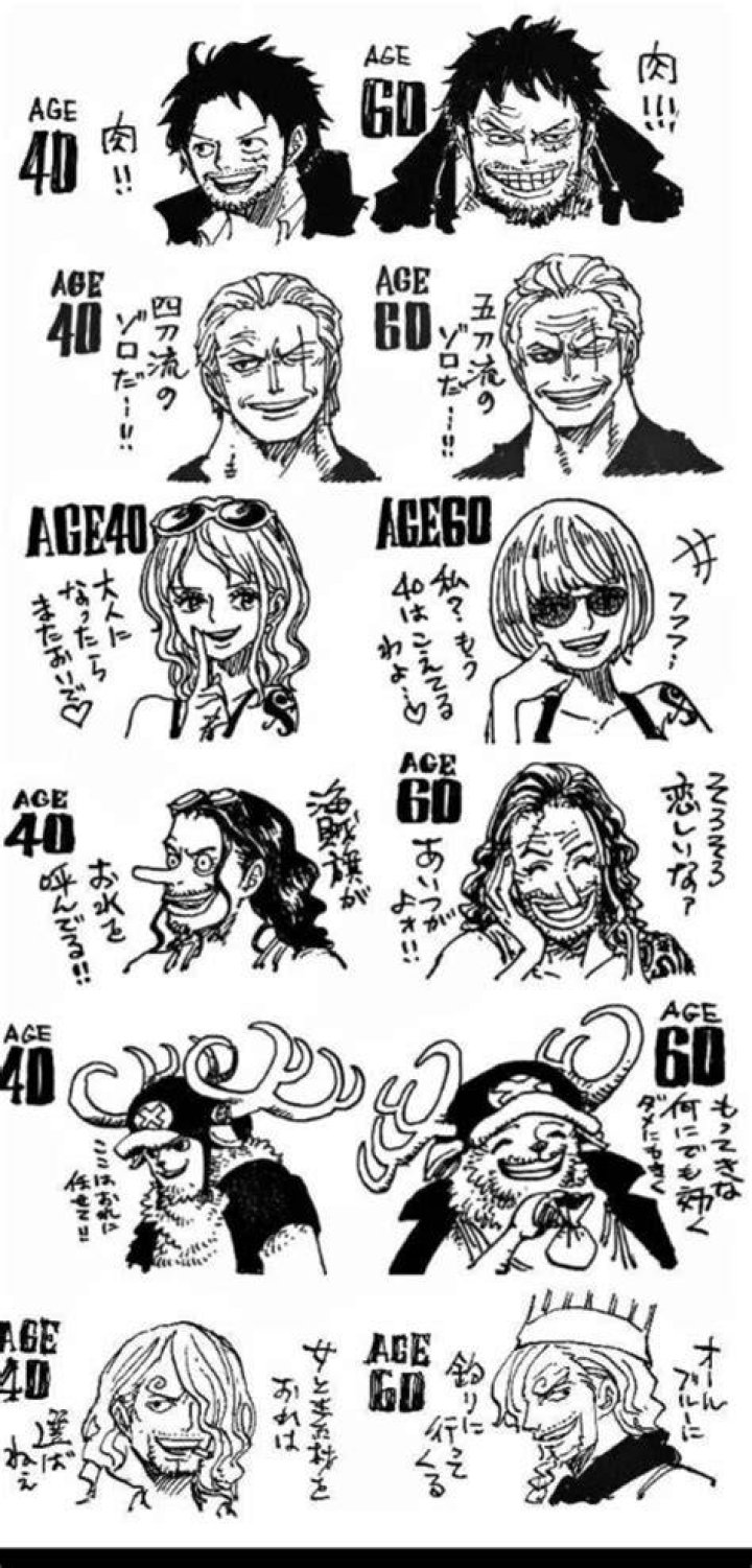 Future Of The Straw Hat