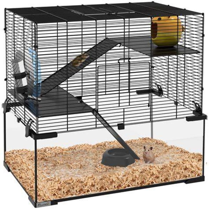 hamster in a cage