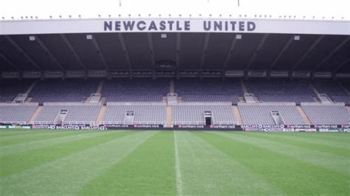 Newcastle's Tonali banned 10 months for betting: Italian federation