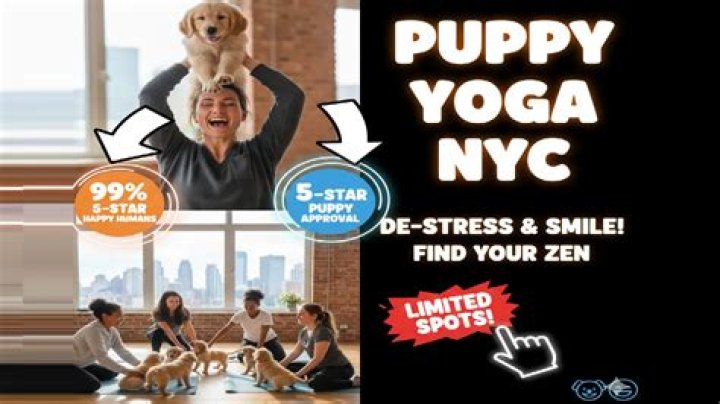 NYC puppy