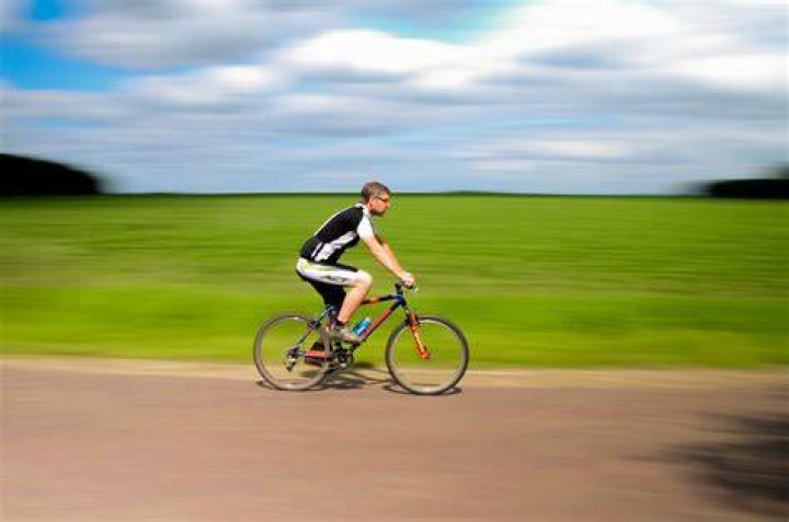 person riding bicycle on road surrounded by palm trees pointing at sign that read FOLLOW THAT DREAM