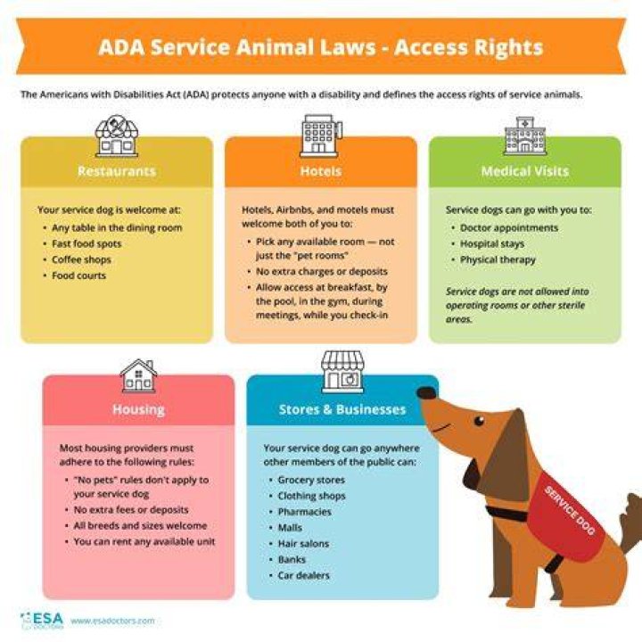 Service animal