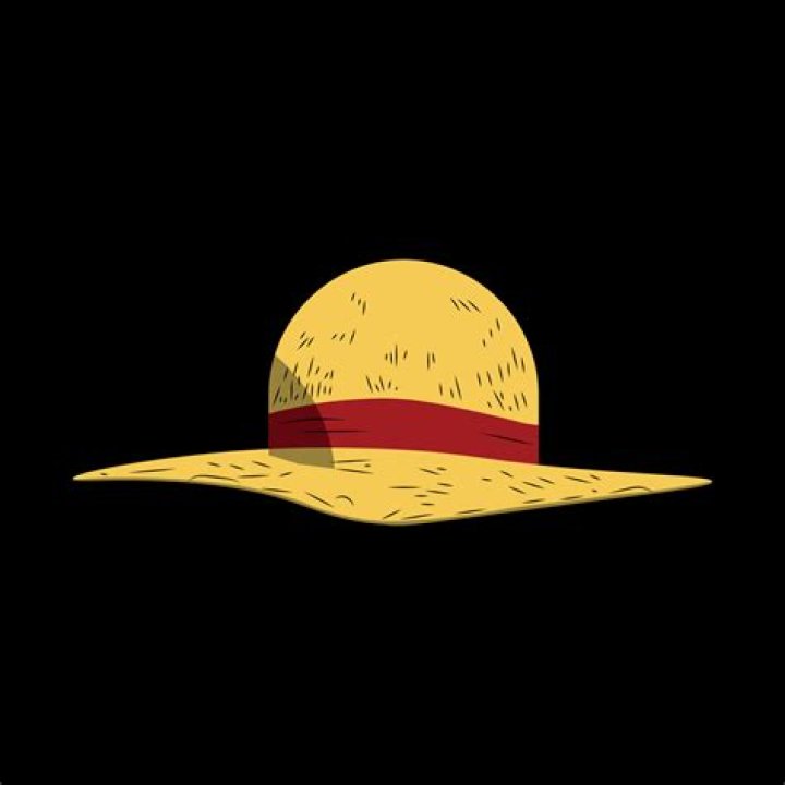 Straw Hat's History In One Piece