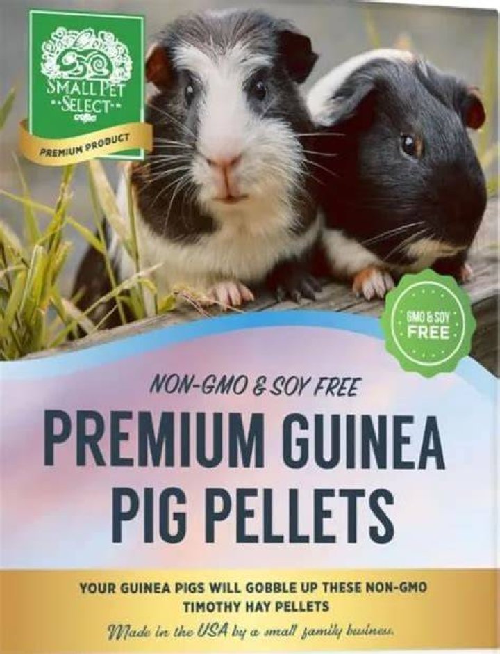 submit a pet pk guinea pig