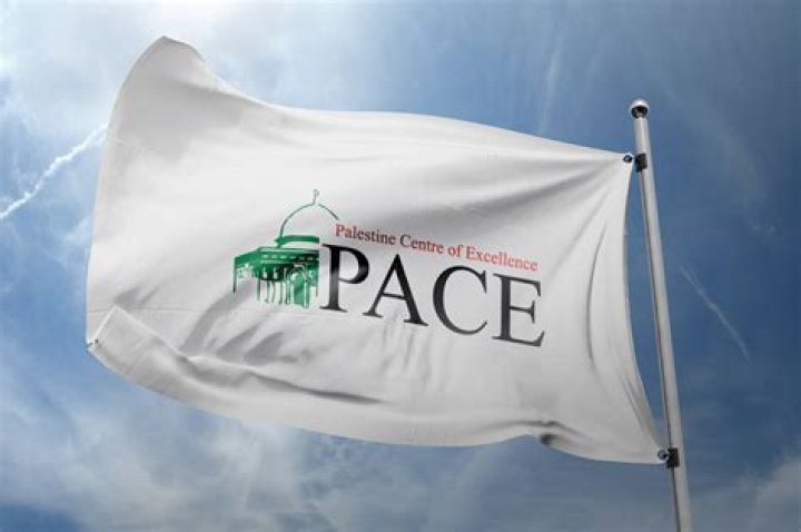 The Excellence Centre in Palestine and Germany logo