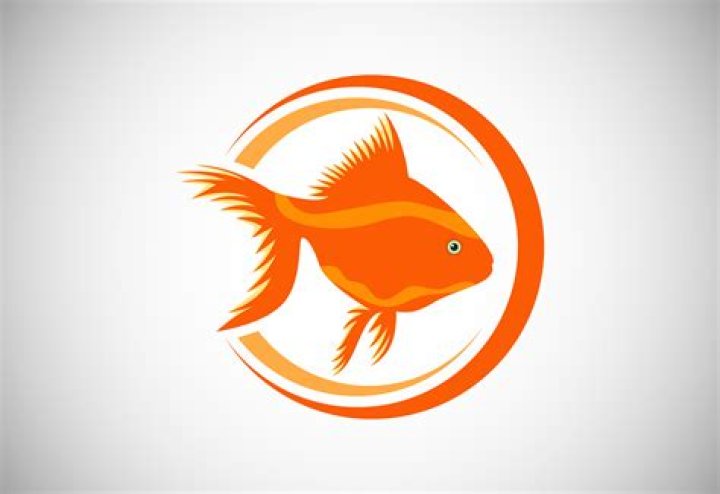 The Goldfish Kingdom logo