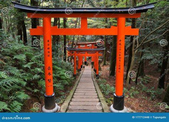 Torii Gate, Japan