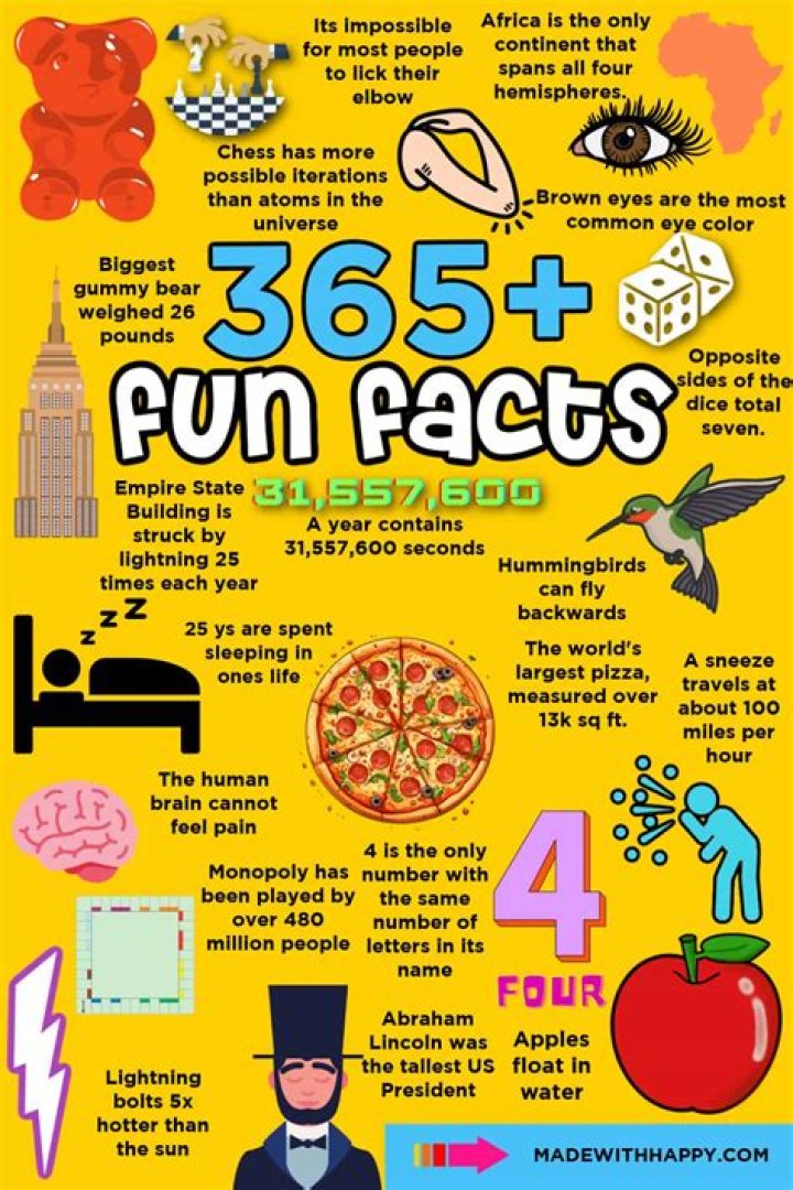 What are some fun facts about DiDi Richards?